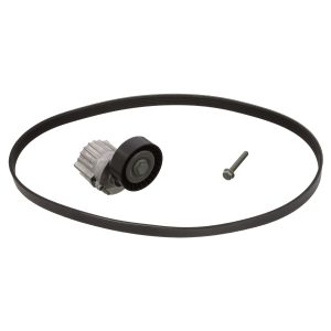 Kilerem (sæt), FEBI BILSTEIN, b.la. til Audi~Skoda~VW~Seat